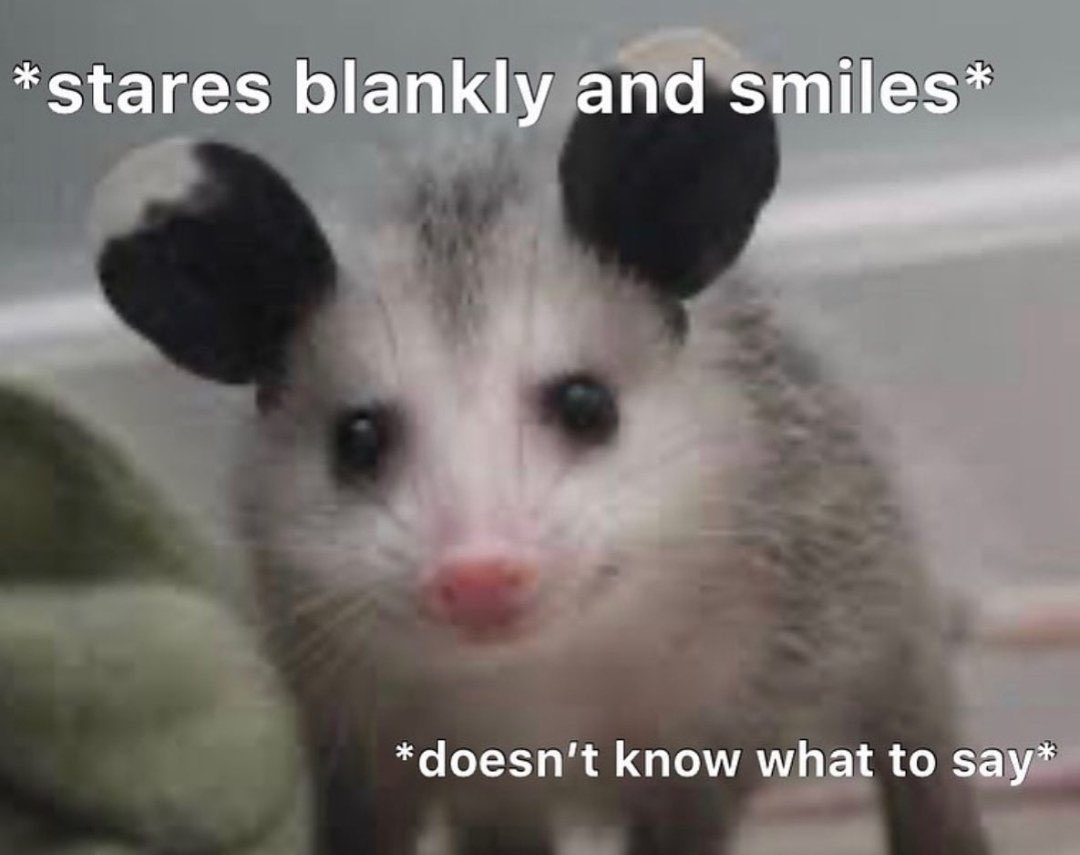 Grey☕️🥭『🍉』 tweet media