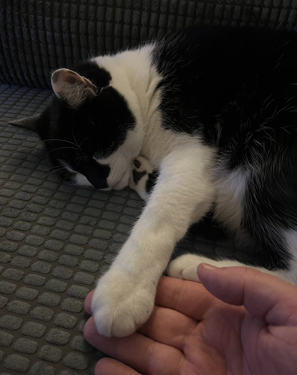 Jamie Little (@jamielitt) on Twitter photo 