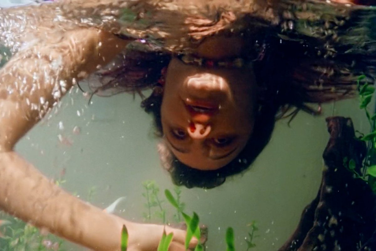 Umbrella tweet media