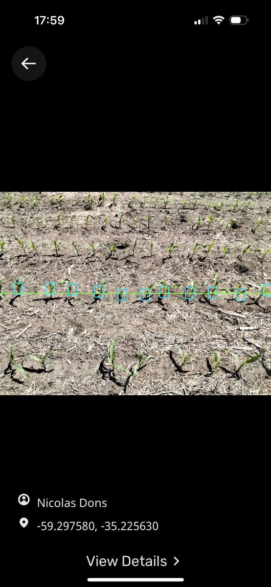 Nico Dons tweet media