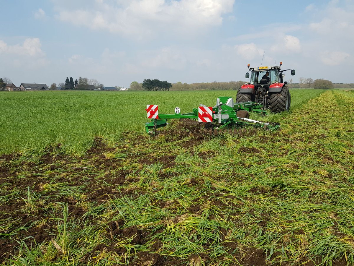 GHoving_AgriBio's tweet photo. Kelly Ketting Eg. Stoppel bewerking, groenbemester verwerken en graszode vernietigen met een minimale werkdiepte! Weinig brandstof/hectare! 

#duurzaam #regenerative #covercrops #WeedControl #minimumtillage #gangbaar #landbouw #solutions #biologisch #organicsolutions https://t.co/doqzuVcrQQ