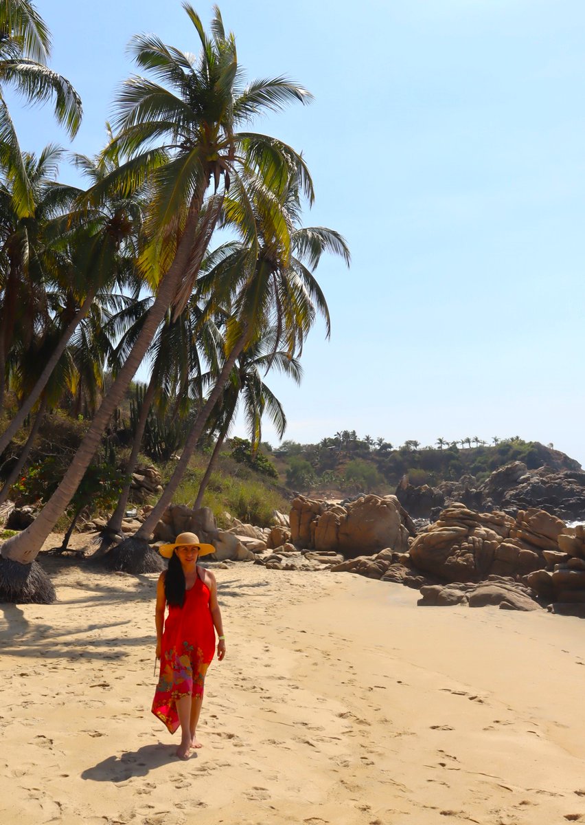 mujerdeoaxaca's tweet photo. #Saludos  
Con este calorcito, se antoja un chapuzón...❤️ #PuertoEscondido 
#HotelPosadaReal 
#SéTuristaEnOaxaca 
#ClubDePlaya #BeachClubCocos 
📷 https://t.co/oHlxO8uG7V https://t.co/eeQBzZM0E2