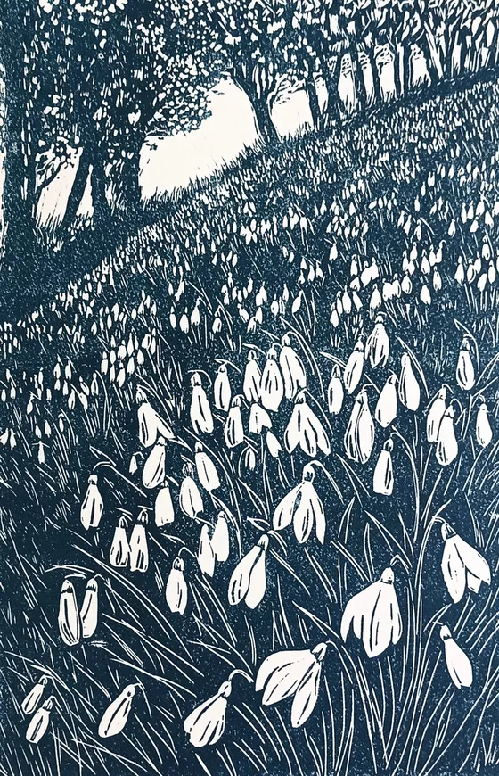 marysia_cc's tweet photo. Snowdrop Wood (2024)
 linocut by Jo Biggadike https://t.co/hLd9NfzBtD
