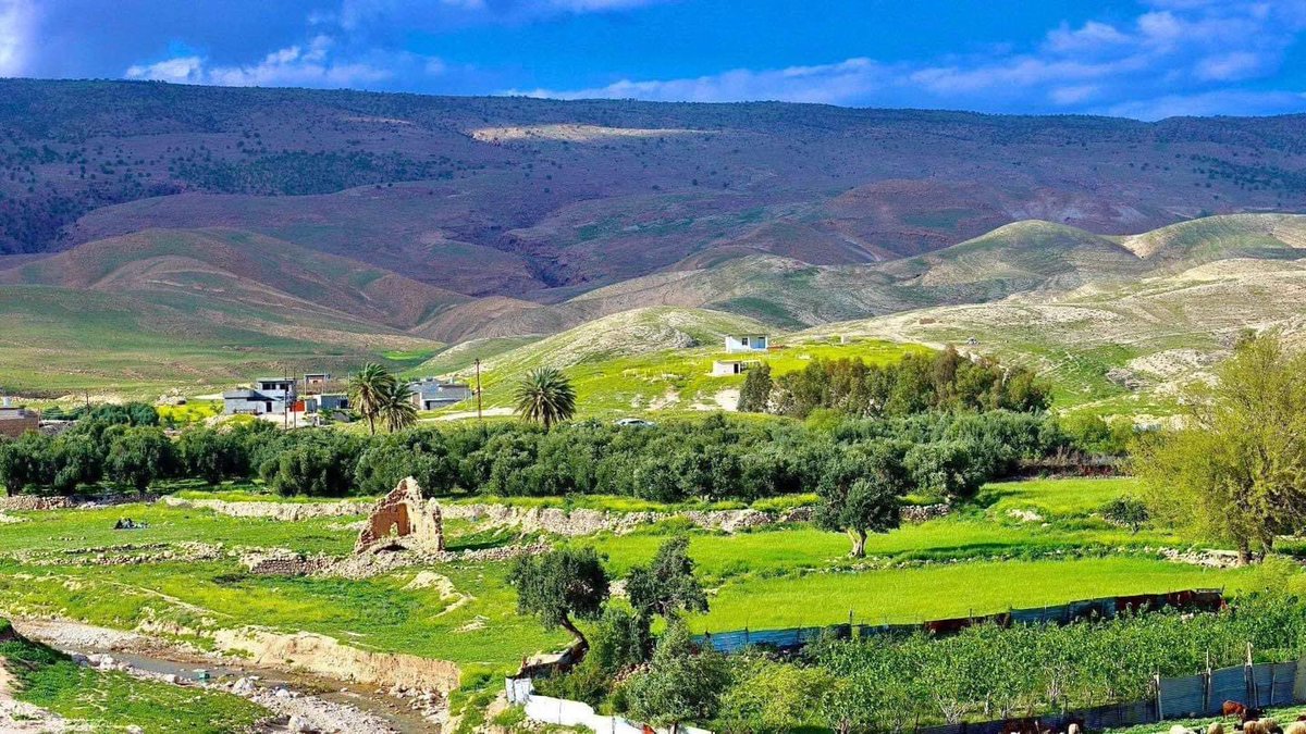 saad shamal 🇮🇶 tweet media