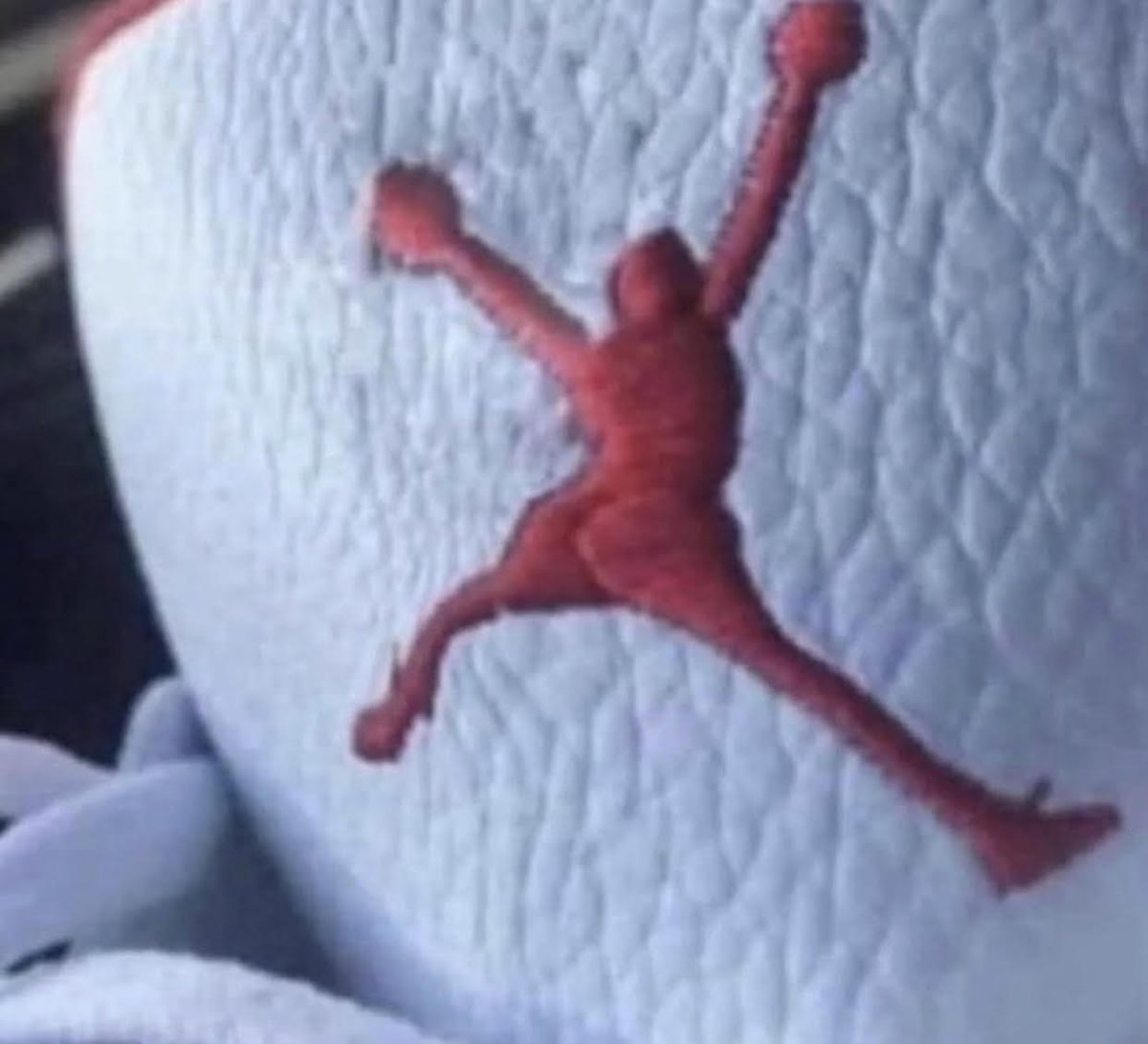 "I'm going to gift these Air Jorden shoes to my cousin. Do you think he will realize they're fake?"