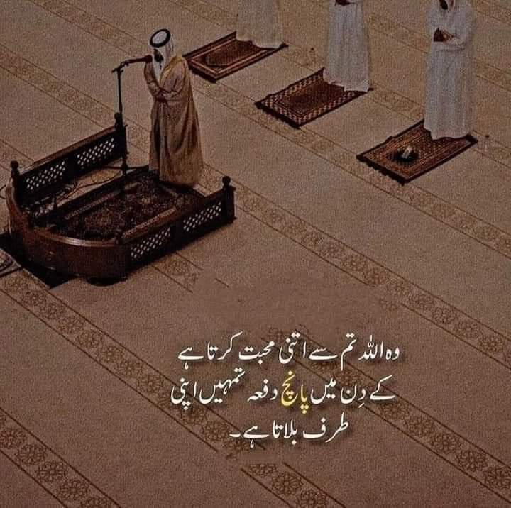 Aslam.o.alaikum❤️
