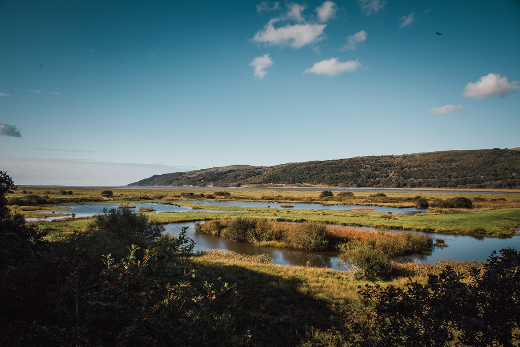 Half term next week! Don't panic! We've rounded up a few places to visit and things to do, for inspiration during the school holidays. 🔗 l8r.it/FxhY 📸 RSPB Ynyshir @visitwales #VisitMidWales #halfterm #familytime #schoolholidays #halftermholiday