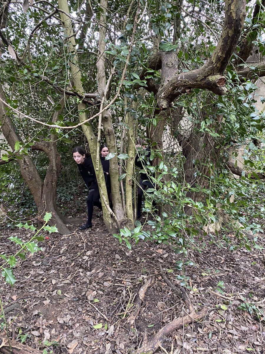 Deborah Holt tweet media