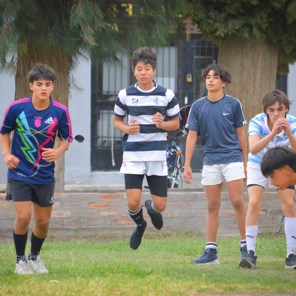 SCAlfiles's tweet photo. 🏉 ¡ARRANCAMOS!

🐘 Ayer lunes comenzó la pretemporada 2024 para nuestras divisiones desde M14 a Plantel Superior.

💪🏼 Con todo para lo que será un gran año.

#VamosAlfiles ⚫️⚪️⚫️ https://t.co/r6WkzE9rcW