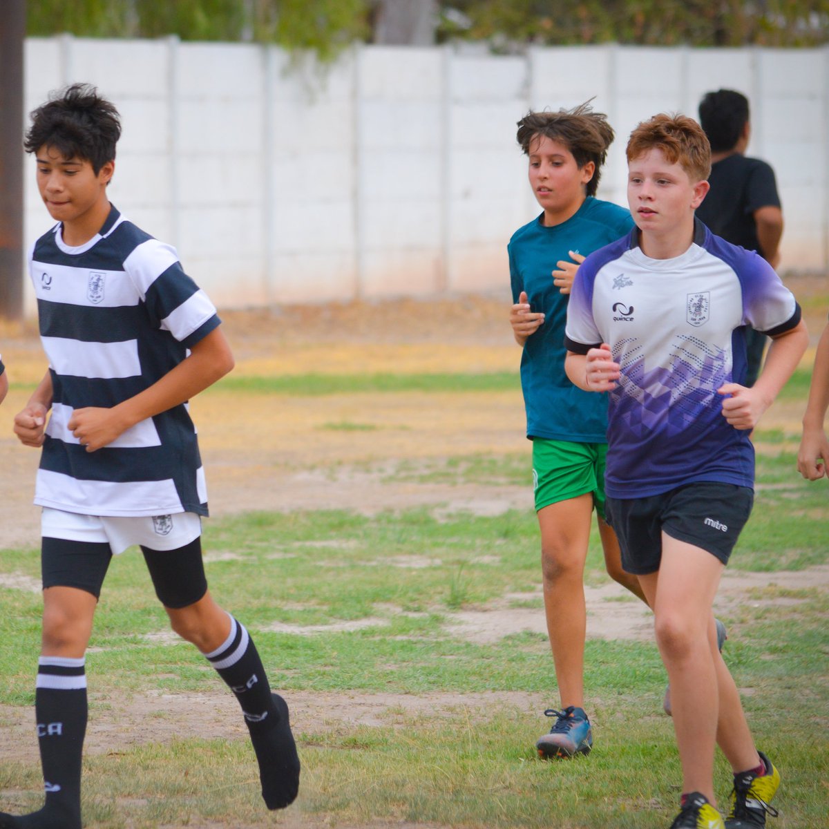 SCAlfiles's tweet photo. 🏉 ¡ARRANCAMOS!

🐘 Ayer lunes comenzó la pretemporada 2024 para nuestras divisiones desde M14 a Plantel Superior.

💪🏼 Con todo para lo que será un gran año.

#VamosAlfiles ⚫️⚪️⚫️ https://t.co/r6WkzE9rcW