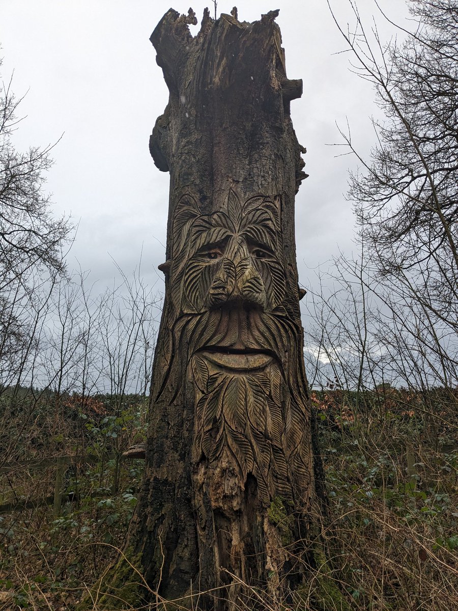 I came across this wonderful tree sculpture today in Delamere Forest. Never spotted it before and can't find anything about it on the Internet. It's close to the Whitefield car park.
#sculpture #TreeSculpture #WoodSculpture
#delamereforest #fattrunktuesday