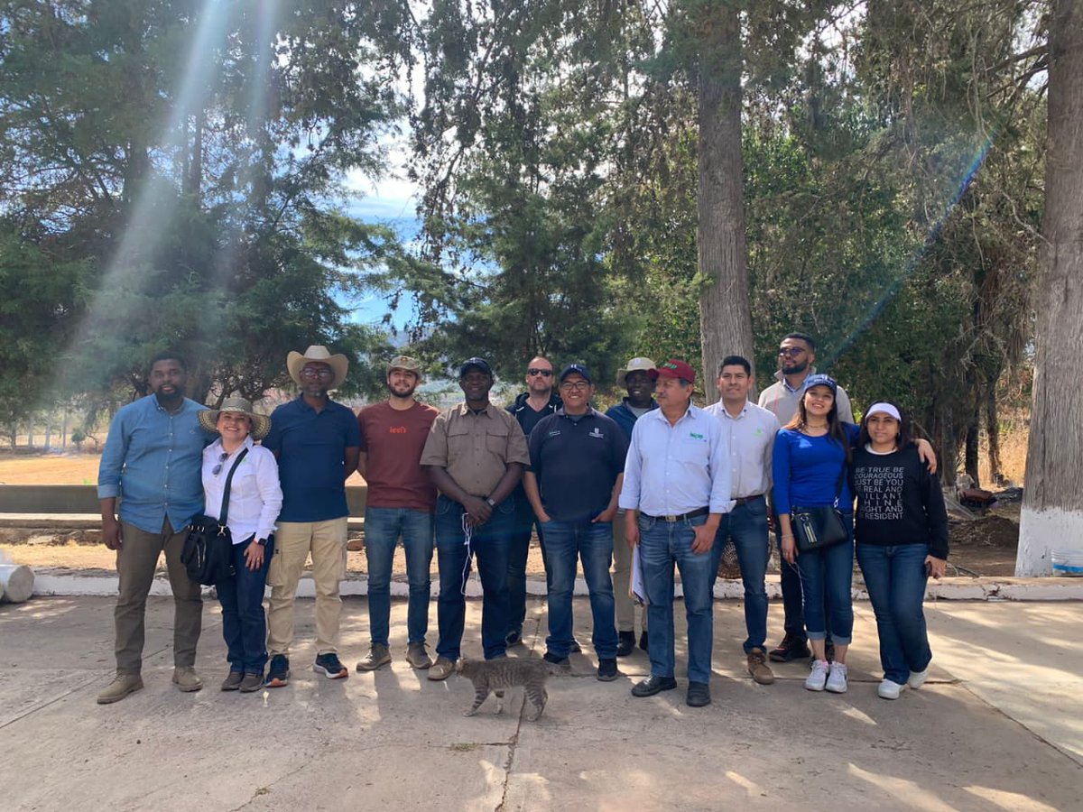 inifap's tweet photo. Con la finalidad de conocer las diversas líneas de investigación que se desarrollan con el proyecto de Agrilac Resiliente, el Sitio Experimental Mixteca del Campo Experimental Valle Centrales de Oaxaca, recibió la visita de 10 investigadores del IITA, y 4 del CIMMYT . https://t.co/Cuqy3evY5f