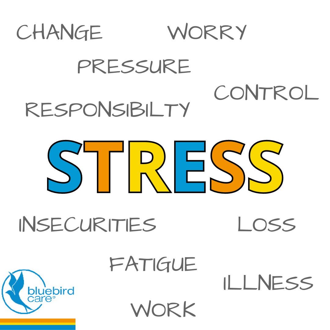 BBCWForest's tweet photo. We all experience stress at some point in our lives, for many different reasons 💆‍♀️

Click here to learn the signs and prevention of stress👉 https://t.co/v4ZLgE5XPi

#stress #stressmanagement #supportathome #homecarewalthamstow #bluebirdcareuk https://t.co/XzCA3lnpJm