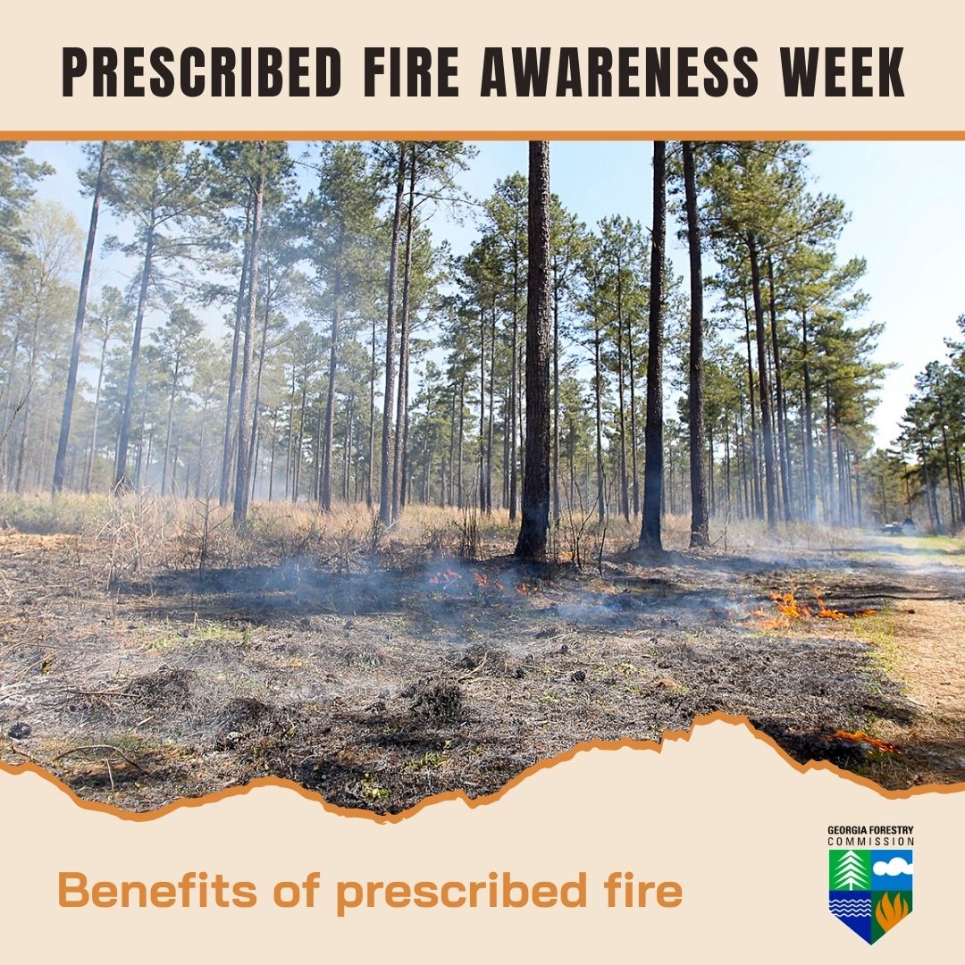Prescribed fire has many benefits for our #forests! Reducing hazardous fuels, maintaining forest health and keeping our forests beautiful are just a few. We'll dive deeper into these benefits in the coming days. #GoodFires #RxBurn