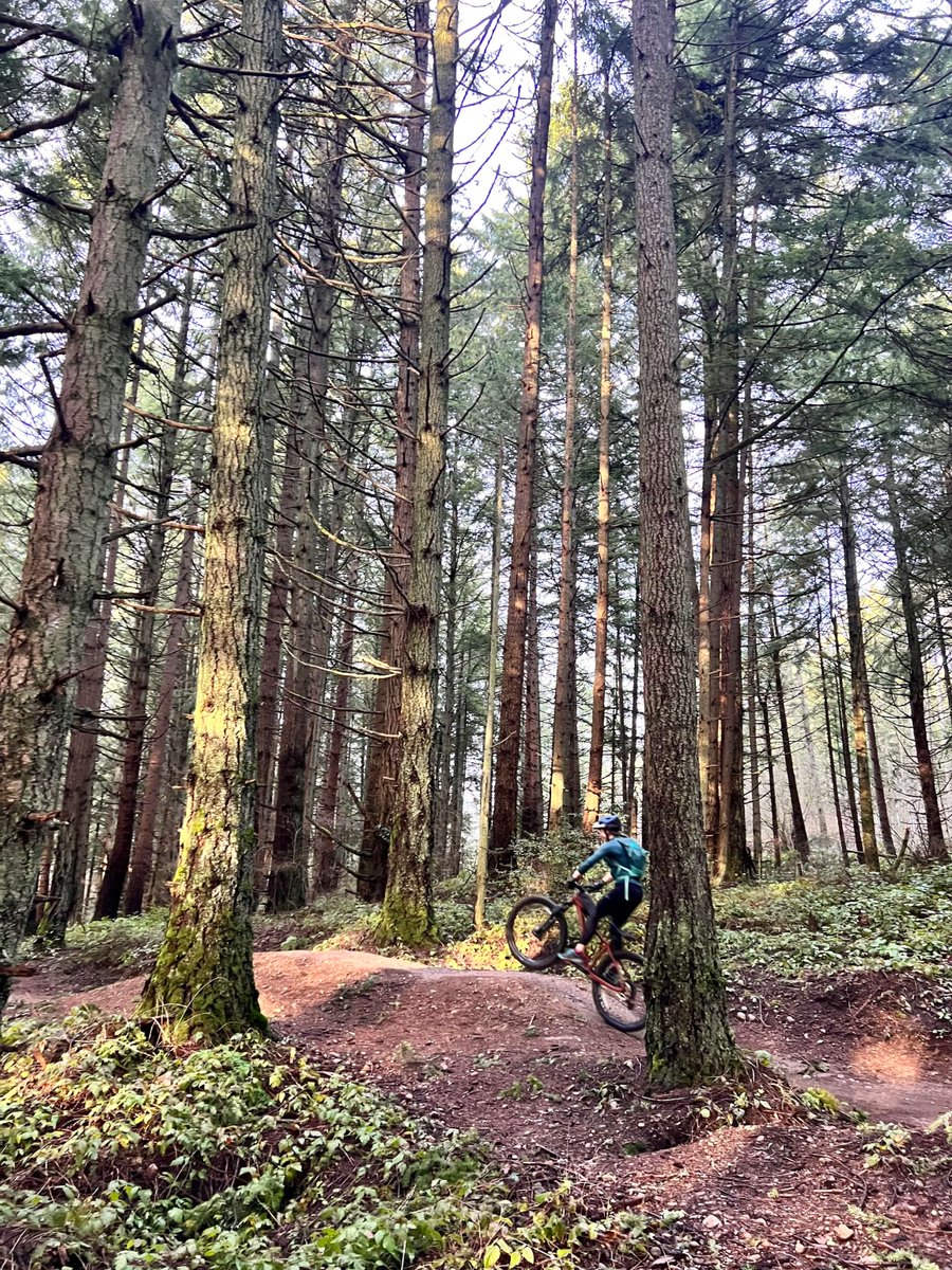 It's #TrailTuesday ft. Tacoma's local favorite, Swan Creek 🚲  Great for post-workday riders, younger riders, group rides and more!

Regular maintenance keeps these ~3 miles of trails in great shape. Learn more on the blog: evergreenmtb.org/blog/trail-tue…

📸 Shot on 1/30/24