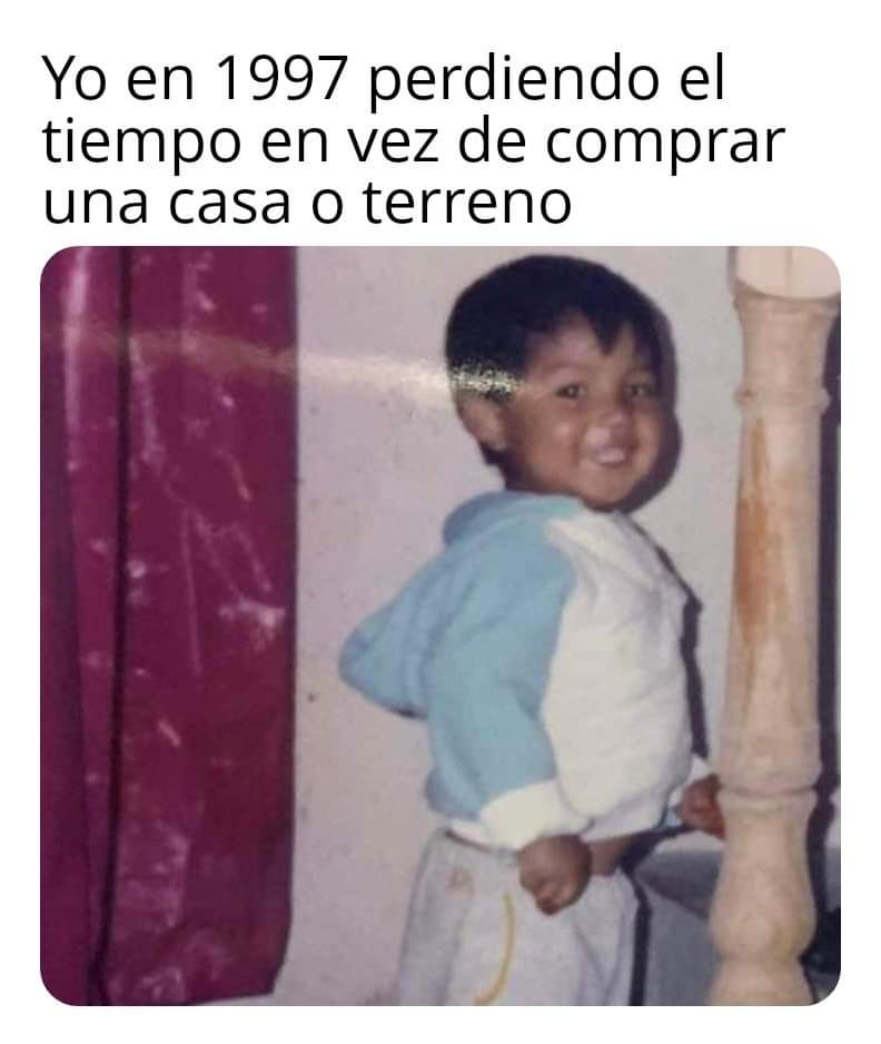 nacional_memes's tweet photo. 🐨 https://t.co/ILShZGNpve