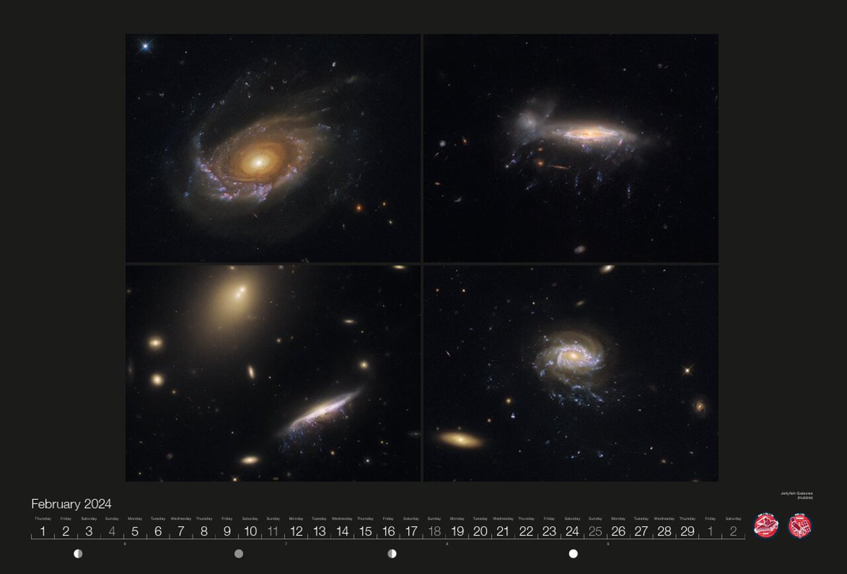 In the 2024 Hubble and James Webb Space Telescopes Calendar, the month of February features several images of ‘jellyfish’ galaxies 🪼 🌌 named for their trailing tentacles. Ready to print .pdf here: ow.ly/1CLg50QwBfr 📷 @nasa , @esa , M. Gullieuszik and the GASP team