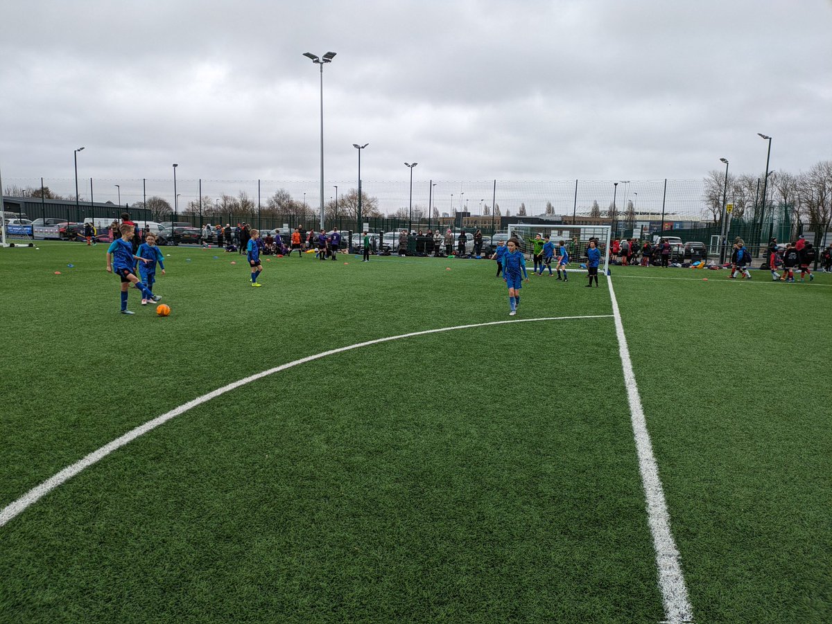 Ysgol Hamadryad 🏴󠁧󠁢󠁷󠁬󠁳󠁿 tweet media