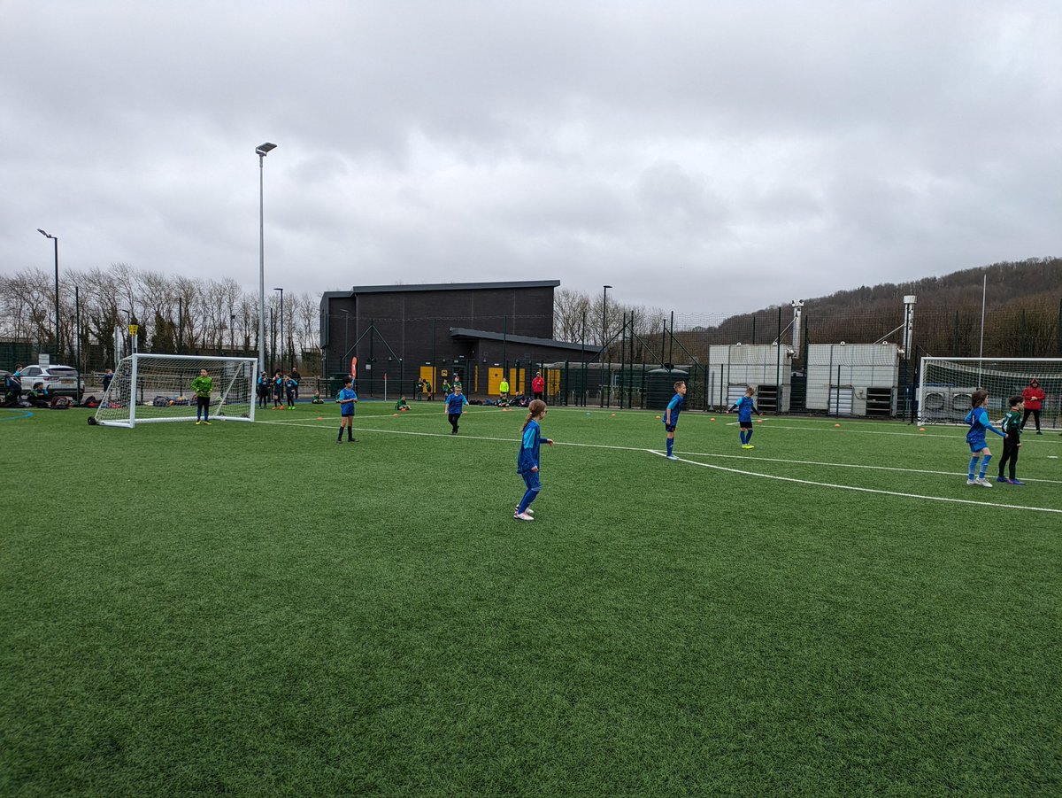 Ysgol Hamadryad 🏴󠁧󠁢󠁷󠁬󠁳󠁿 tweet media