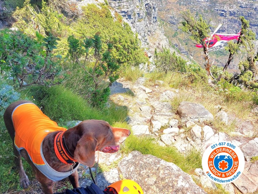 _ArriveAlive's tweet image. Missing hiker found deceased on Table Mountain  buff.ly/42tlYAi

#ArriveAlive #Hiker #Deceased @WSARWesternCape