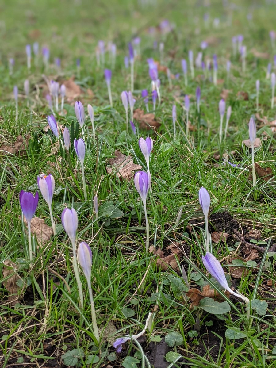 Half term’s nearly here with:
🌳Nature spotter sheets to pick up and run with around the 270-acre site
🛝 Old Lodge play area
☕️Drinks, snacks and lunches
🌺Signs of spring popping up in the garden
🏠House open daily
nationaltrust.org.uk/visit/bath-bri…
##HalfTermActivities #FebruaryHalfTerm