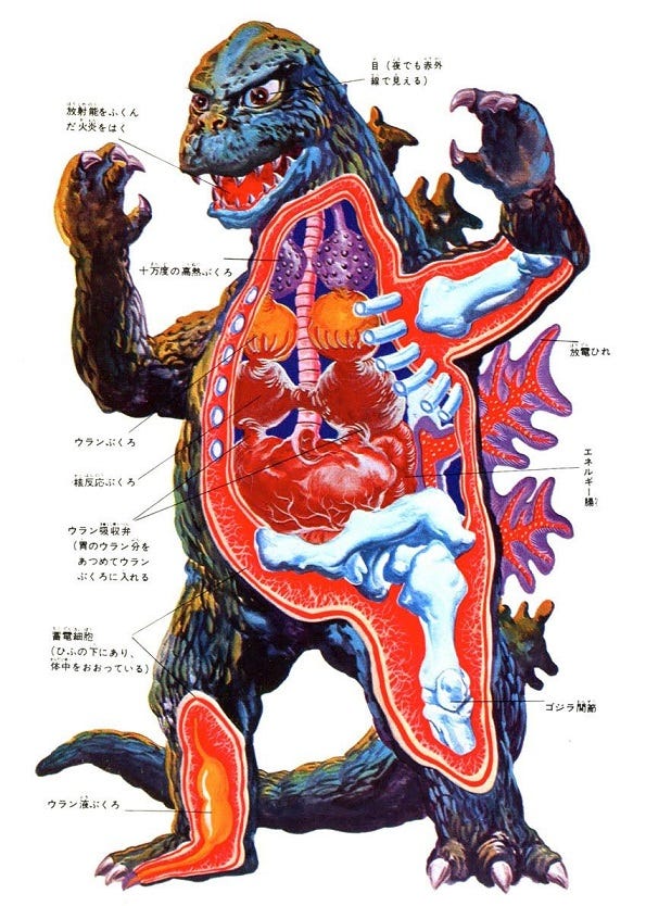 In the moment just before the anesthesia puts you to sleep, you look over and see your surgeon intensely studying this diagram