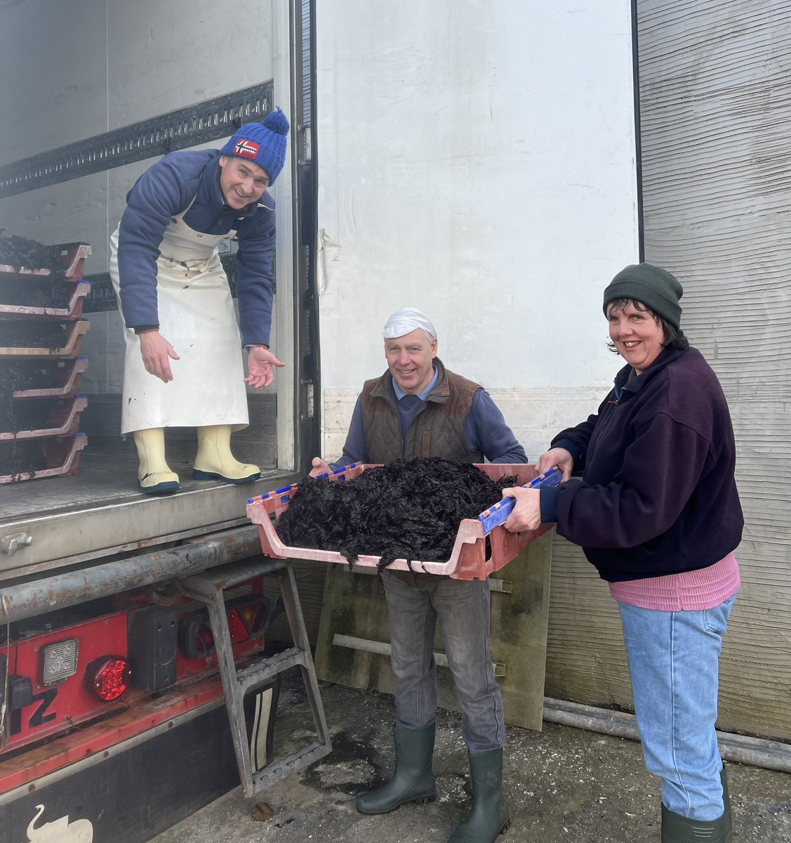 selwynsseafoods's tweet photo. Peter and Mair have been busy on the beaches! A delicious haul of Welsh Laver seaweed has arrived for us to create the ultimate Welshman’s caviar, Laverbread.🌱
Fresh Laverbread available from 10am at the shack tomorrow.
#Laverbread #Baralawr #Welshseafood #Bwydmôrcymru #Swansea https://t.co/Gc2h1rSJ8D