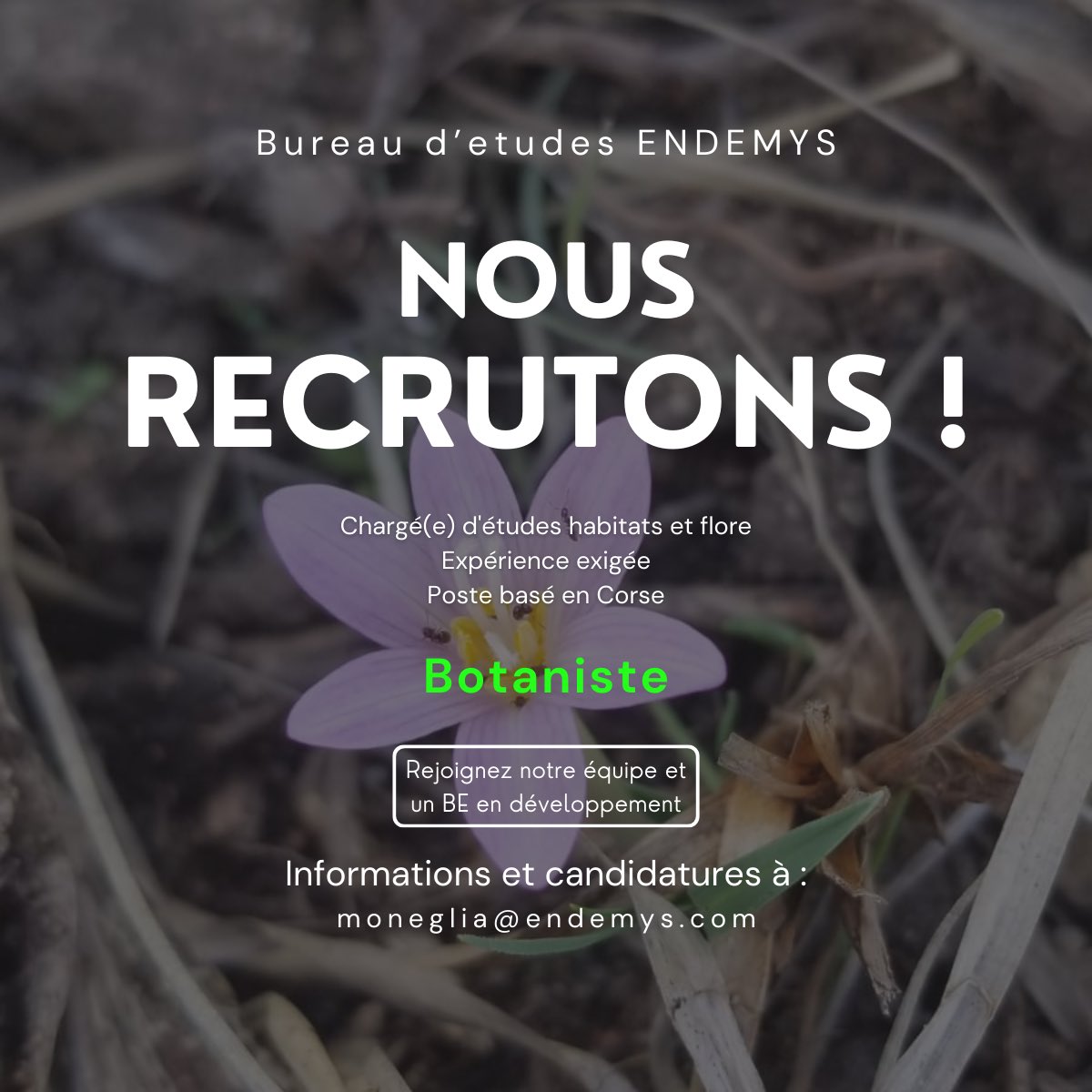 Pasquale Moneglia tweet media