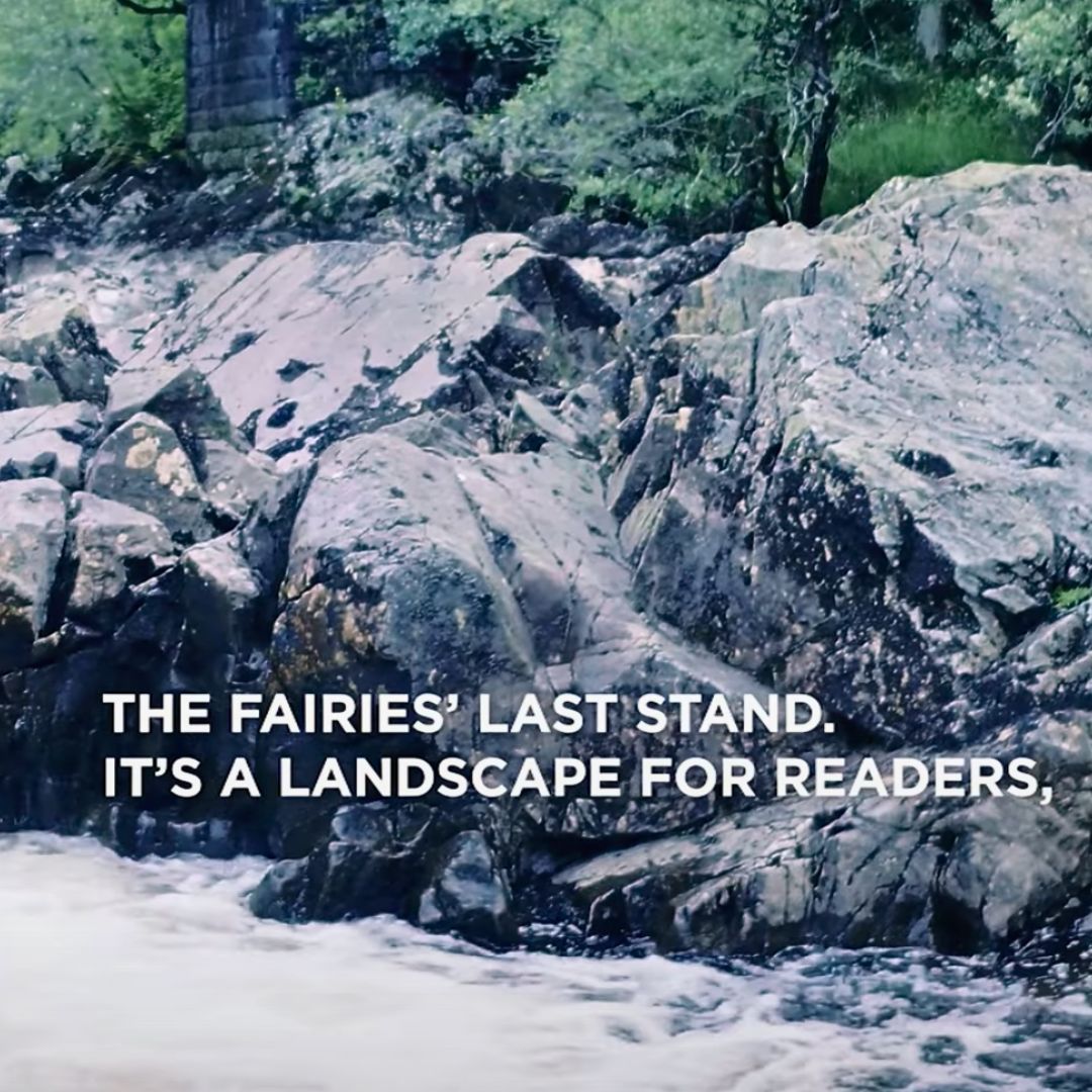 Galloway NPA tweet media