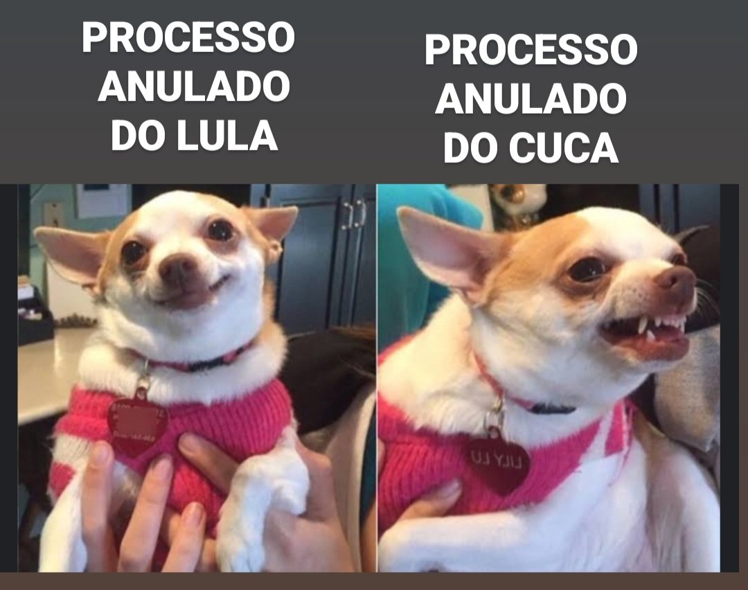 JoaquinTeixeira's tweet photo. CORINTHIANO LACRADOR HOJE...

SEJA BEM VINDO AO TIMÃO PROFESSOR CUCA! https://t.co/DENG16iv3d