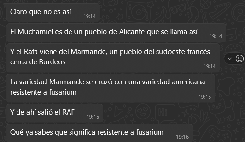 Soloraf tweet media