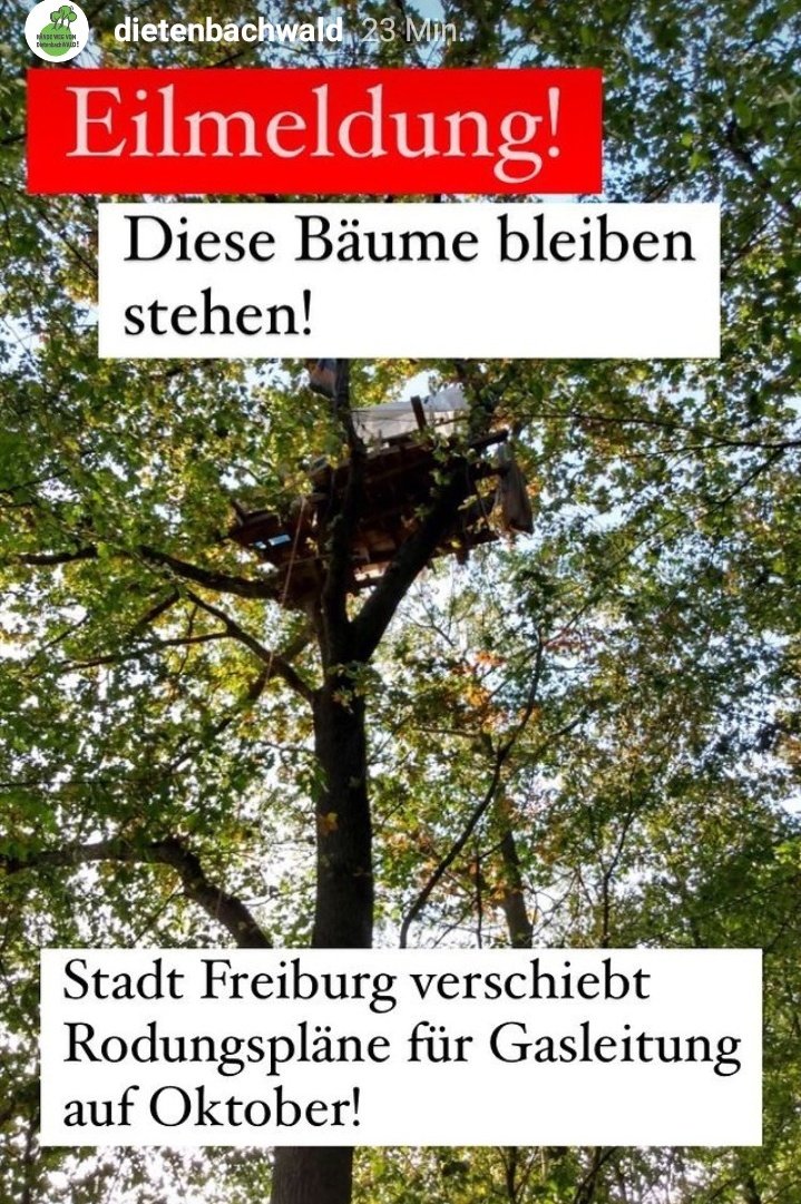 💥🥳🥳🥳🥳🥳🥳🥳🥳🥳💥

EILMELDUNG ausm #DietiBleibt

#Freiburg VERSCHIEBT #Rodung

für #Gasleitung auf

OKTOBER ‼️‼️‼️‼️

Immerhin, mehr Zeit 🙌🙌🙌

#Haselmaus 🐭 & #Bäume 🌳🌲
erstmal sicher💚💚💚💚💚

🥳🥳🥳🥳🥳🥳🥳🥳🥳

#JederBaumZählt

🌲🌳🌲🌳🌲🌳🌲🌳🌲🌳🌲

#WaldStattGas