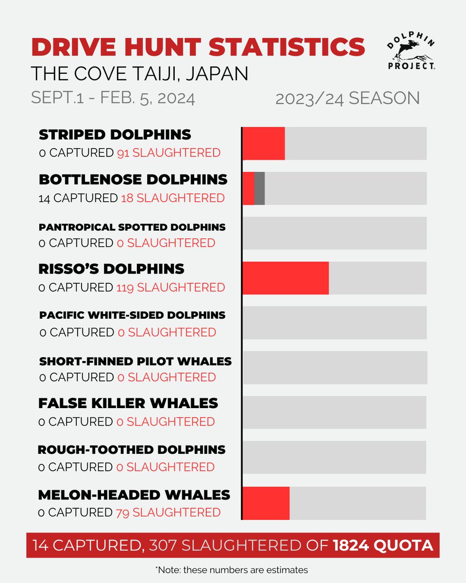 Dolphin_Project's tweet photo. Taiji: With just a few weeks left in the drive hunt season, the number of dolphins captured and killed is still far under quota. 
Help defend dolphins in Japan: https://t.co/NhatR6ms7i 
⁠
#DolphinProject #LetsProtectDolphinsTogether https://t.co/g8Orpjvnyj