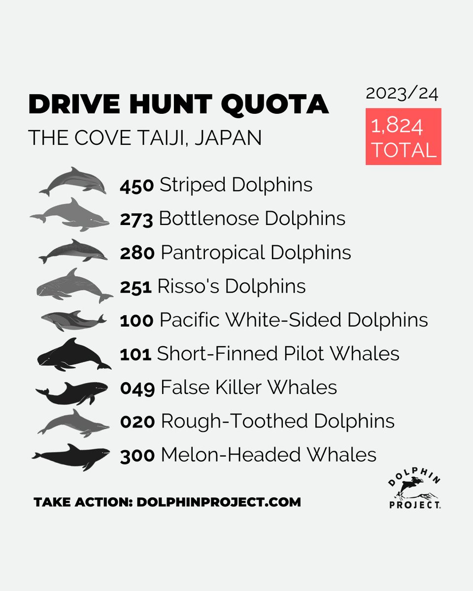 Taiji: With just a few weeks left in the drive hunt season, the number of dolphins captured and killed is still far under quota. 
Help defend dolphins in Japan: bit.ly/48DZsXT 
⁠
#DolphinProject #LetsProtectDolphinsTogether