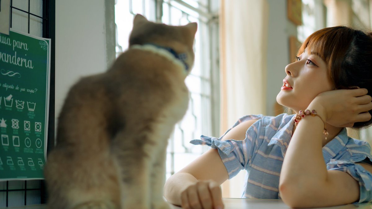 mdashik45's tweet photo. I just published Elevate Your Pet’s Presence: Expert Pet Video Editing by Expart https://t.co/YgfUk5CMp2 
#Expert #Pet #Video #Editor https://t.co/pm9XwZm0L2
