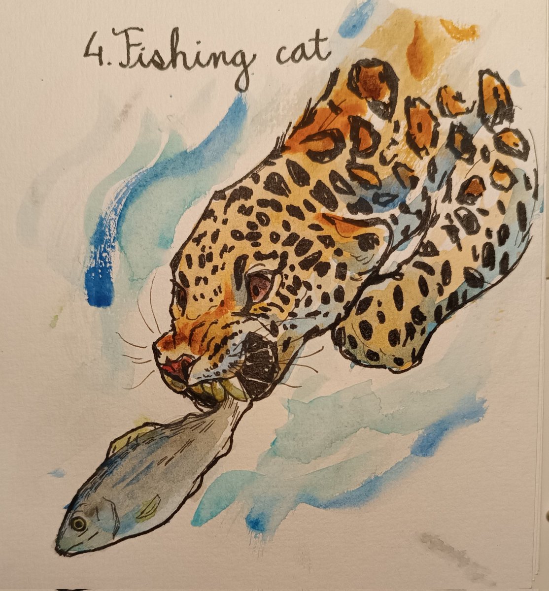 j3tuska's tweet photo. some animals with ink and watercolor https://t.co/fvl4FdRv4X