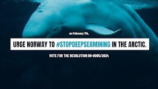 jccharlier1's tweet photo. Cette semaine @Europarl_EN réagira à la décision 🇳🇴 d'ouvrir l'Arctique au #DeepSeaMining, ce qui aurait des impacts importants sur la #p��che 🇪🇺 la #biodiversité et le #climat
@EPP @ecrgroup @RenewEurope @TheProgressives @GreensEFA @Left_EU on compte sur vous pour #DefendTheDeep https://t.co/GnVCoH0ErA