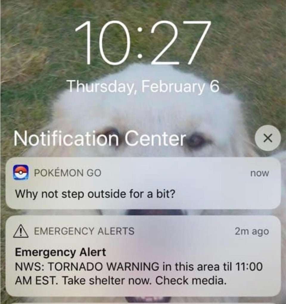 memechaotic's tweet image. 