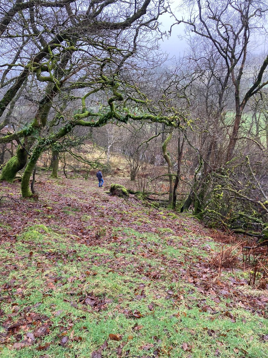 StevePhillips85's tweet image. Checking out the boundary before signing off on my purchase #Brecon #offgrid