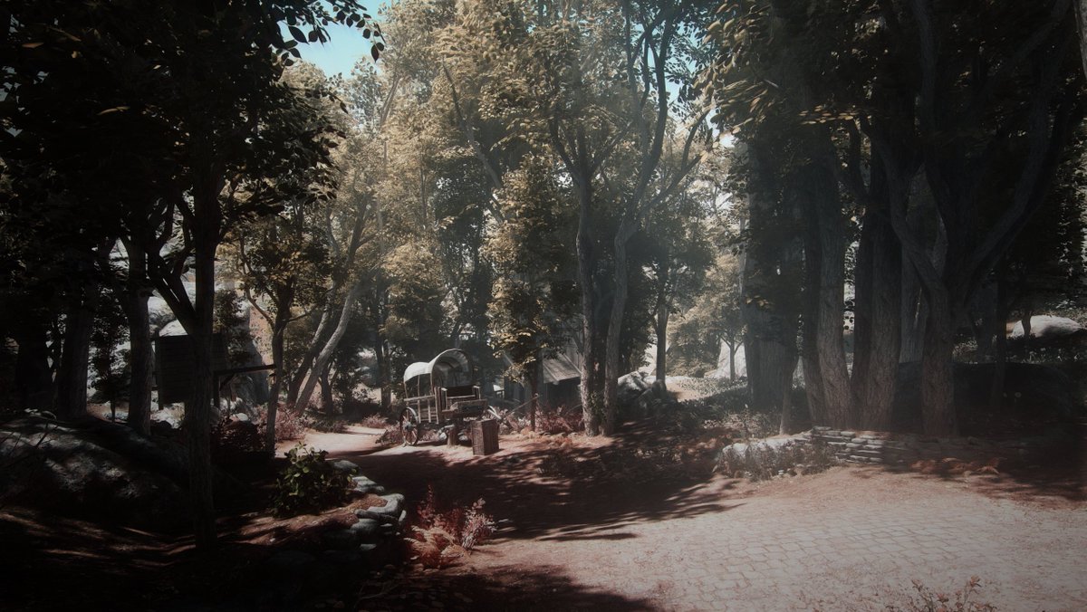 CamilleMaynn's tweet image. #SkyrimSE #visionV2 #modpack