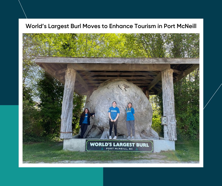 🎉The World's Largest Burl moves to enhance tourism! The Town of Port McNeill will create a new public space closer to its main business and tourism areas to showcase the attraction: bit.ly/3SsXjas

#experienceVancouverIsland #ExploreBC #GoNorthIsland