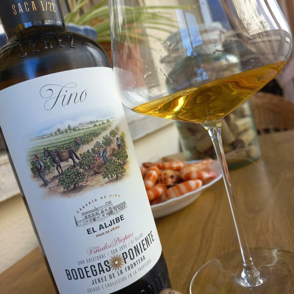 La elegancia  hecha fino🧡
Frescura total, y sus más de 8 años de vejez, salinidad rotunda,  muy profundo  y concentrado, Añina en sus 15 grados! Asoma la almendra amarga, muy largo final  y una pura brillantez cristalina en la copa💛
#enelsursepierdeelnorte
#finoenlasvenas