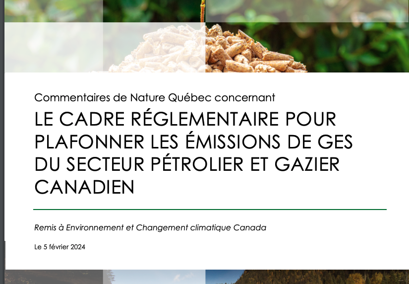 NatureQuebec's tweet photo. MÉMOIRE ✍️ Nature Québec considère que le futur règlement sur le plafonnement des émissions du secteur gazier et pétrolier est essentiel, mais doit faire l'object d'un rehaussement de ses ambitions -> https://t.co/IyiRMjCcyz #emcap #polcan @s_guilbeault https://t.co/n0kr1hH2Nm