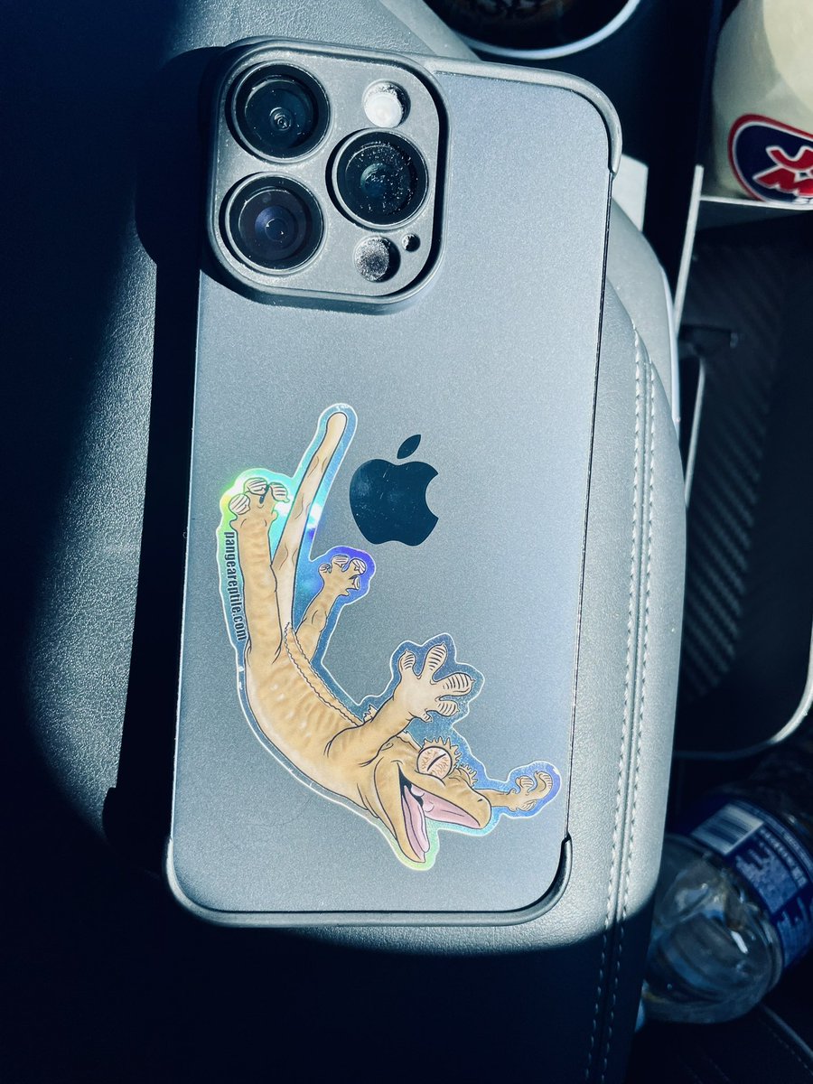 GreedyMagic's tweet photo. Pangea gecko sticker came in! Looks exactly like my Lil’ Buddy too! (Jumping and all LOL!) @PangeaReptile https://t.co/iZDZQxmxoY