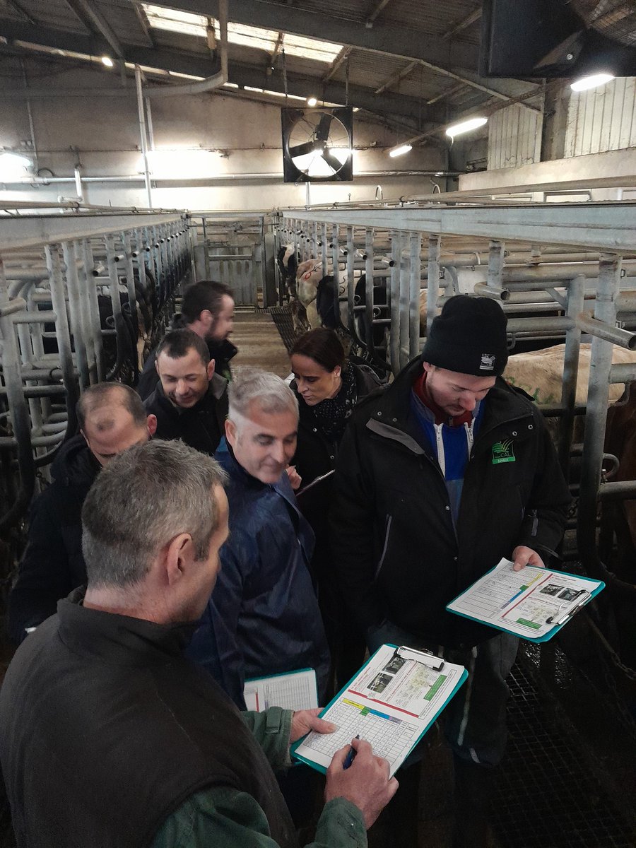 InterbevGdEst's tweet photo. Les mardis de février @regiongrandest c'est formation estimation des animaux en vif puis en carcasse et échanges autour de l'actualité @la_viande_fr et accords interprofessionnels #questiondepro #normabev
Rdv mardi prochain https://t.co/dZ3n1xcgZc