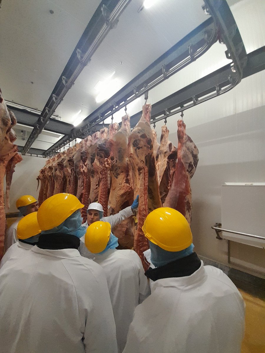 InterbevGdEst's tweet photo. Les mardis de février @regiongrandest c'est formation estimation des animaux en vif puis en carcasse et échanges autour de l'actualité @la_viande_fr et accords interprofessionnels #questiondepro #normabev
Rdv mardi prochain https://t.co/dZ3n1xcgZc