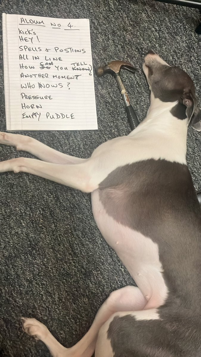 Lola helping us hammer out album No 4