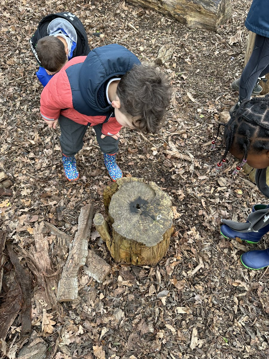 Heber_FS's tweet photo. What a fantastic time Reception had at Outdoor Learning today. We linked our session to Children’s Mental Health week and made some nature faces. #outdoorlearning #learnoutside https://t.co/xYLKx7wD1d