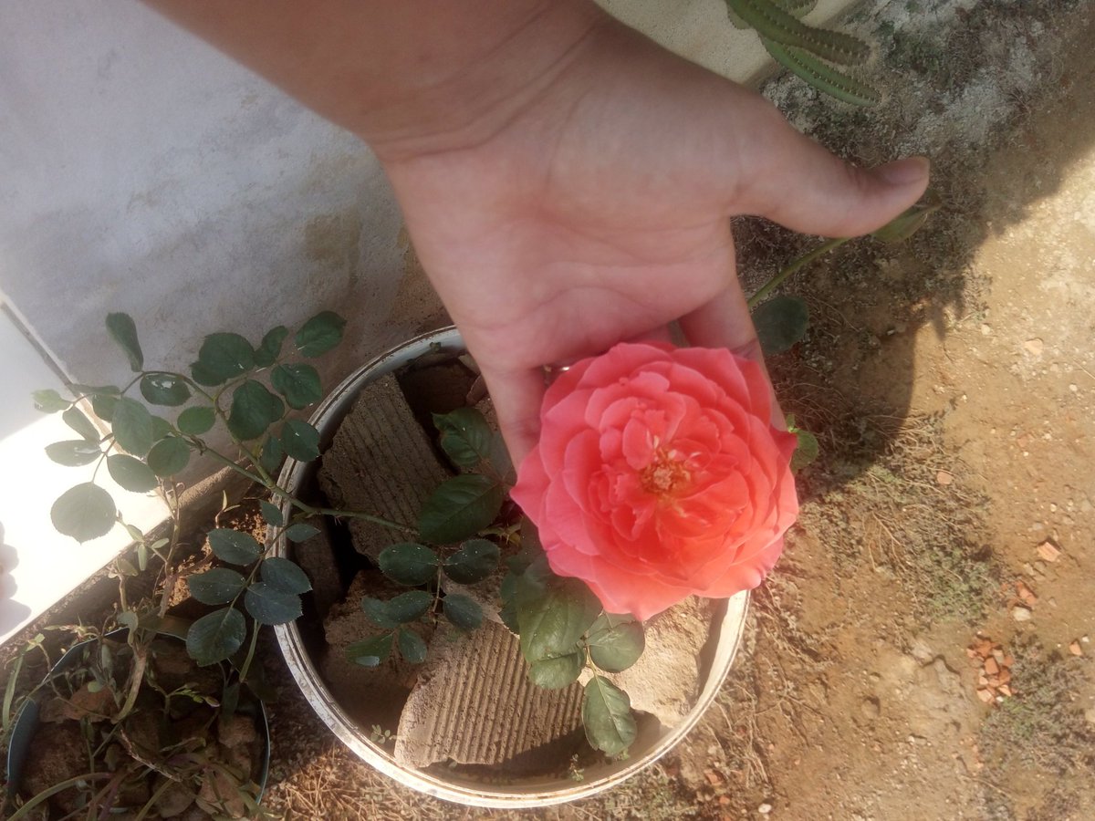 Regyahne's tweet photo. https://t.co/GmamlMe1rL