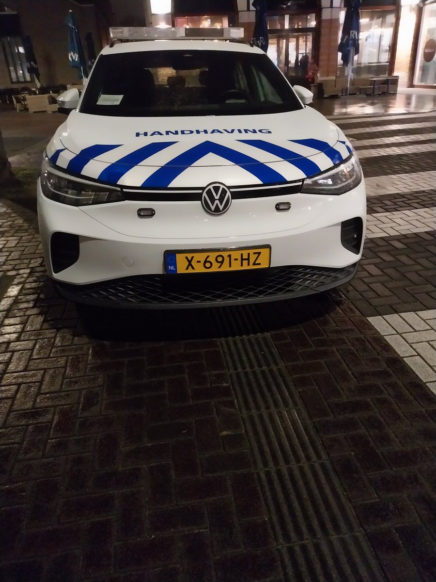 Kom, laten we onze auto eens op een geleidelijn voor blinden en slechtzienden zetten, dachten de gemeentelijke handhavers.